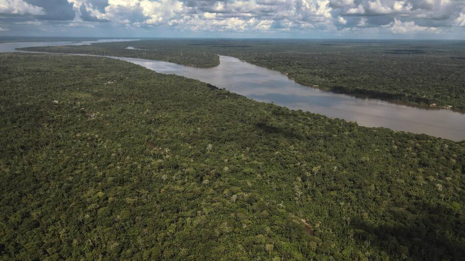 Zona de la Floresta Amazónica, en el estado de Pará (Brasil). Foto: EFE.