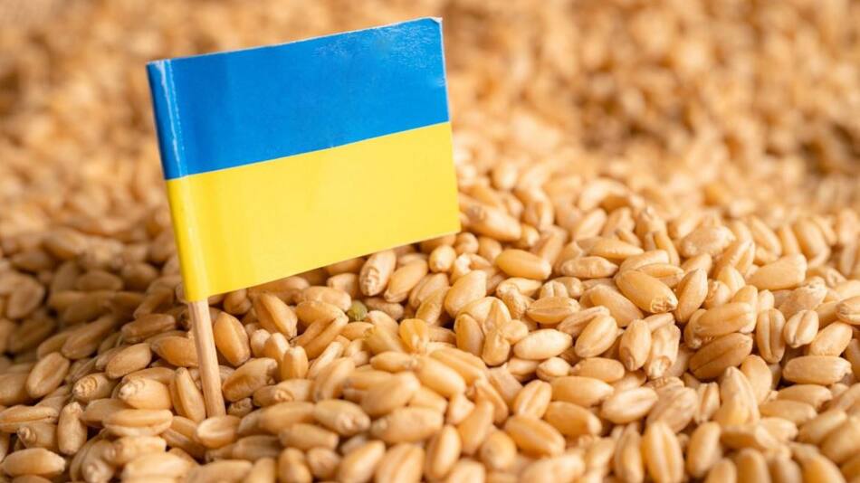 Ucrania, acuerdo de cereales. Foto: REUTERS