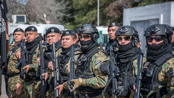 “Sapardo Titular”: el curioso nombre del operativo en el que Gendarmería incautó 431 kilos de cocaína