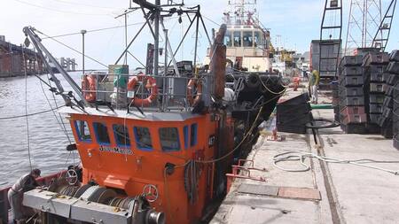 Pescadores - Mar del Plata