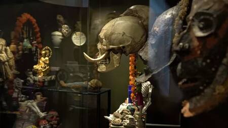 Museo de Historia Natural de París, Francia.