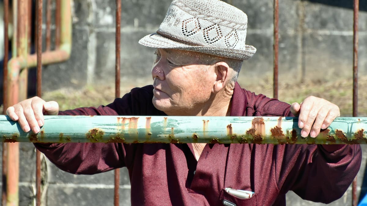 El secreto de la longevidad: los japoneses de más de 100 años comen este alimento para estar sanos
