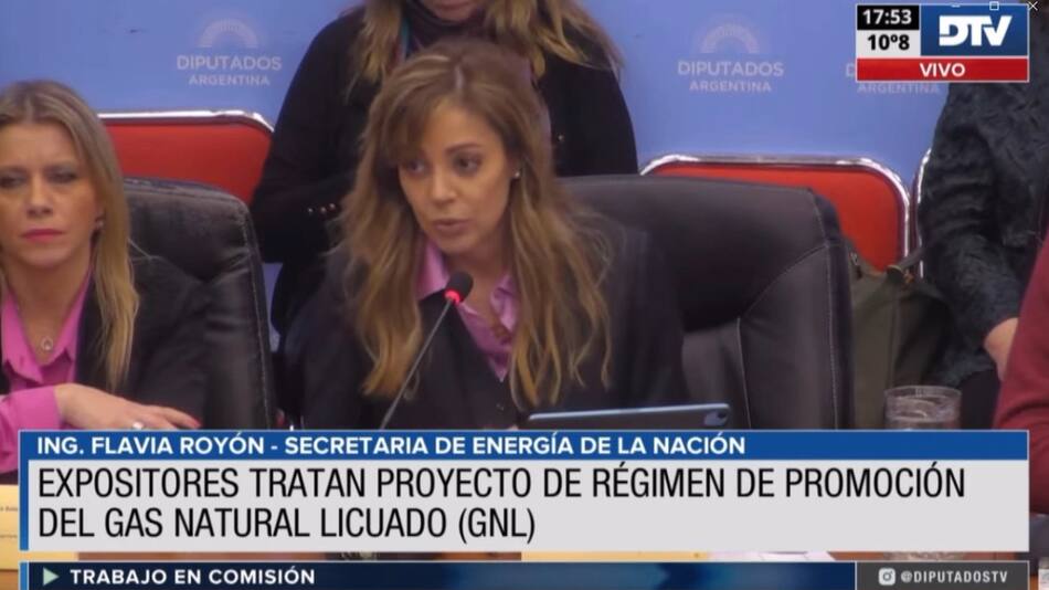 Flavia Royón, proyecto de Gas Natural Licuado. Foto: DTV.