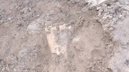 Restos arqueológicos en Neuquén. Foto: lmneuquen