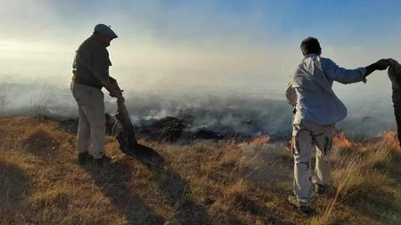 Incendios en Corrientes, foto NA