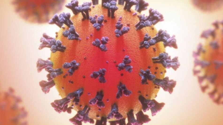 Coronavirus, pandemia