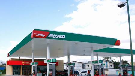 Estaciones de Servicio Puma