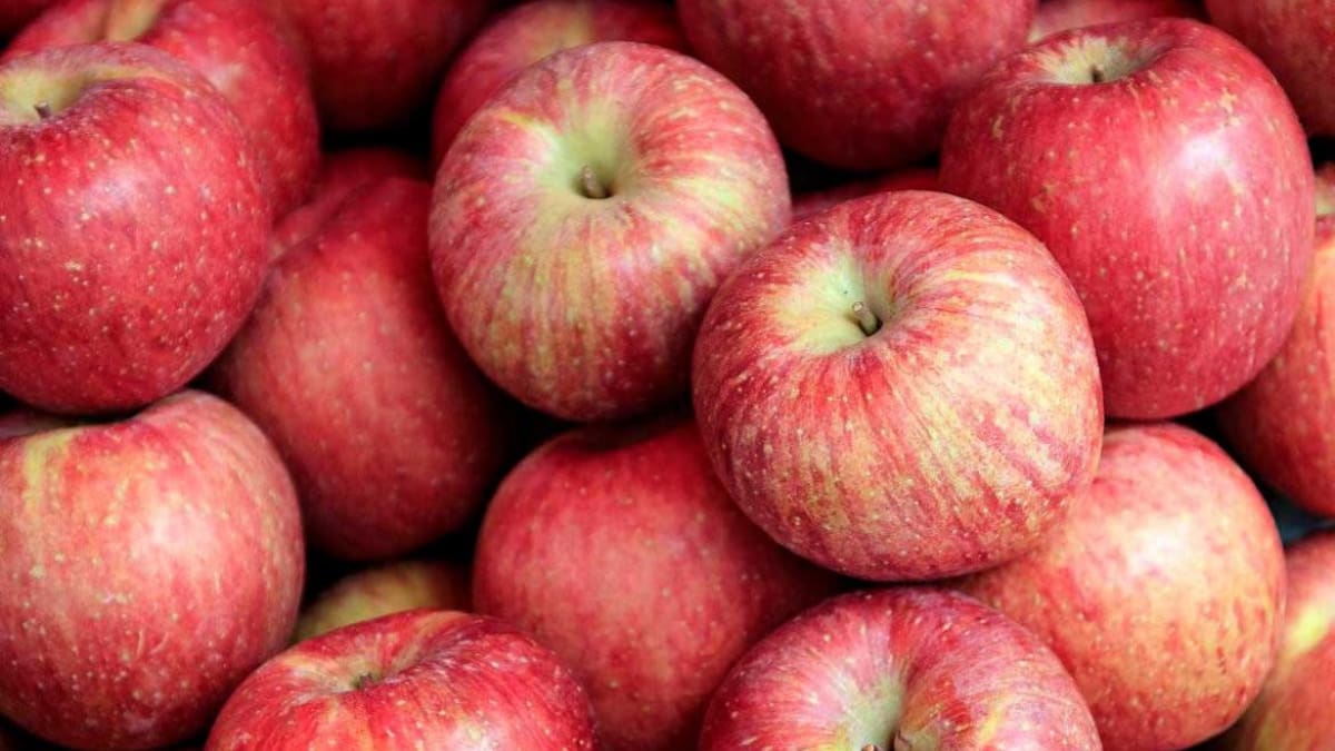 Lo que no sabías de las manzanas y te hará pensar antes de comer este alimento