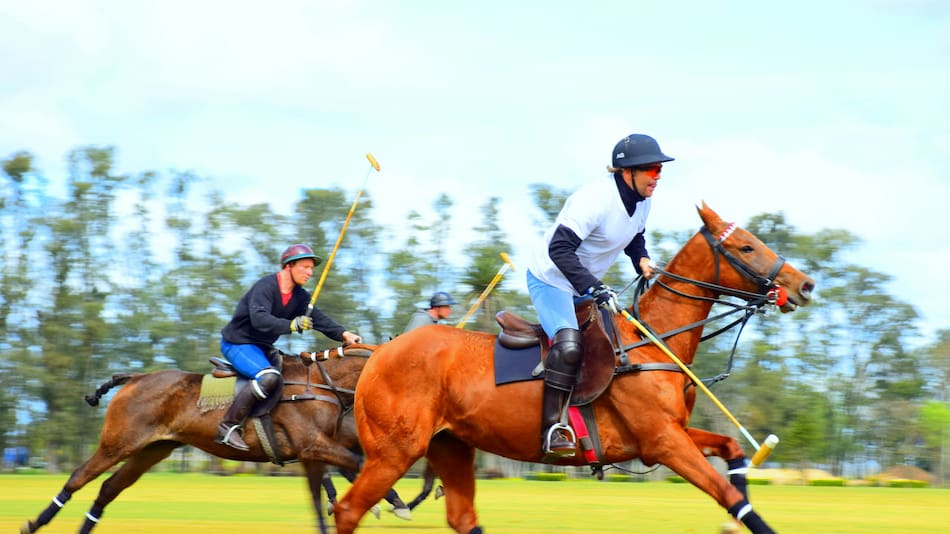 Caballos del futuro revolucionan el polo argentino.