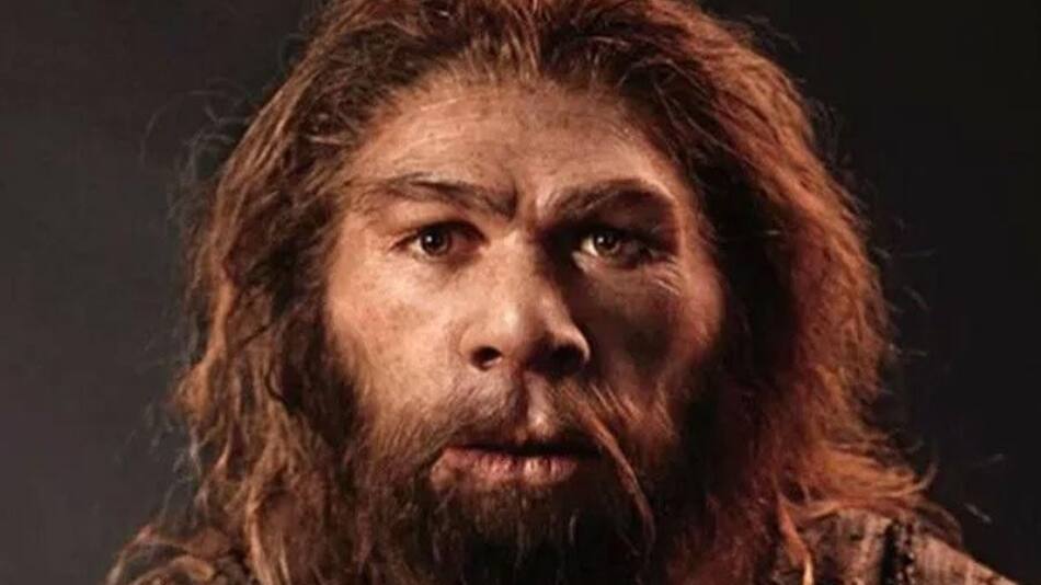 Hombre de neandertal, ciencia, antropología