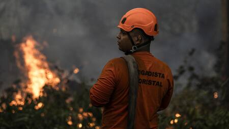 Incendios forestales en Brasil. Foto: EFE