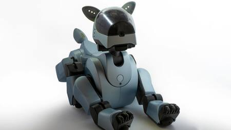 Perro robot. Foto: Unsplash.