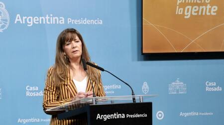 Gabriela Cerruti, Gobierno, NA