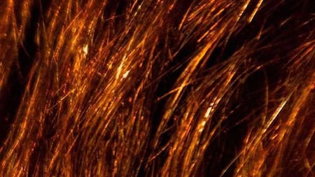 Lanzamiento de la candidatura de Diego Santilli en la Provincia