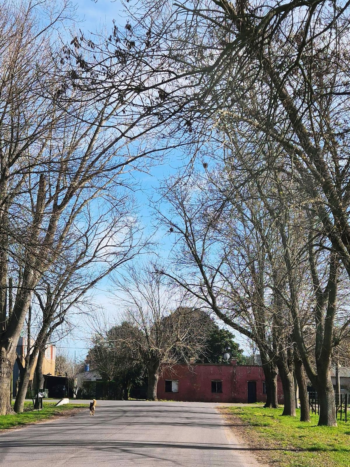 El pueblo que perdió el tren, estuvo a punto de desaparecer y revivió gracias a una panadería