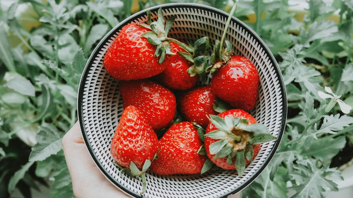 Frutillas.