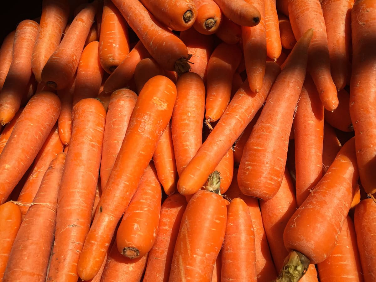 Zanahoria, verdura, salud, raíz. Foto: Unsplash