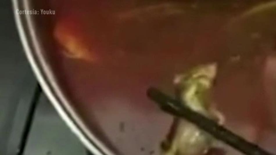 Embarazada encontró una rata en su sopa, China