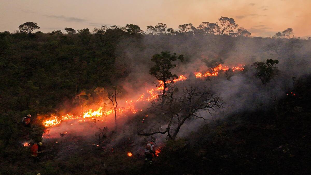 Incendios forestales en Brasil. Foto: EFE.