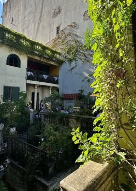 El icónico bar de Buenos Aires que combina botánica y tradición