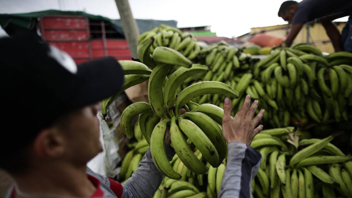 Según los expertos, las dietas se han "occidentalizado". Foto: EFE.