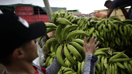 Según los expertos, las dietas se han "occidentalizado". Foto: EFE.