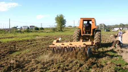 Huertas en Rosario. Foto: agriurbanarosario.com.ar