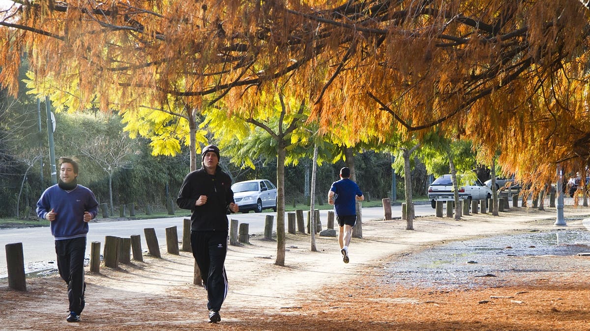 Sin lluvias y con temperaturas agradables: cómo estará el clima en el AMBA esta semana