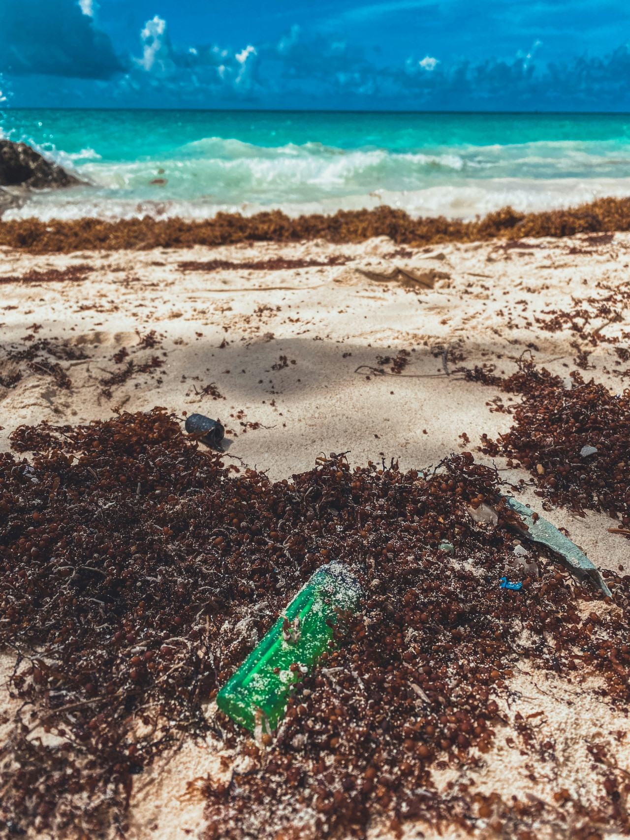 Sargazo en las playas. Foto: Unsplash.