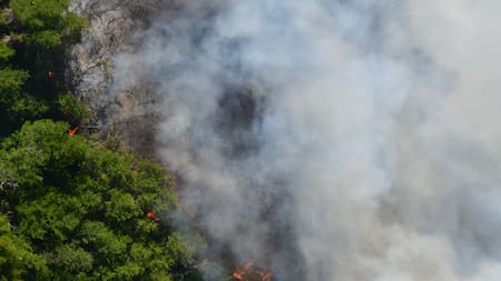 Incendio en parque Los Alerces. Foto: Télam