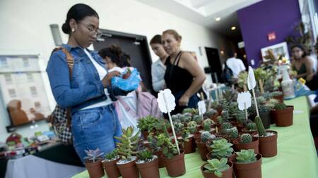 El aluminio, la chatarra y el plástico son los principales contaminantes en Nicaragua. Foto: EFE.