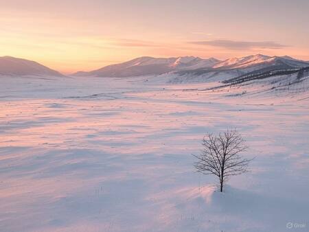 Siberia. Foto: Grok.