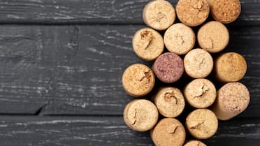 No es solo por decoración: para qué sirve colocar corchos en las plantas, según expertos en jardinería