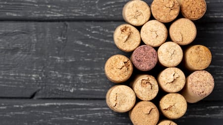 No es solo por decoración: para qué sirve colocar corchos en las plantas, según expertos en jardinería