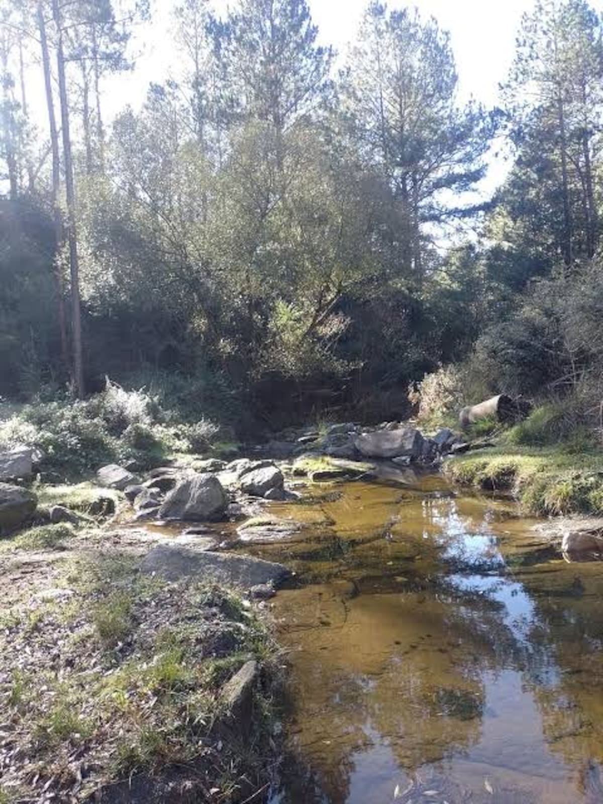 Bosques de pinos, arquitectura centroeuropea y senderos de montaña convierten a Villa Berna en una de las postales más encantadoras del Valle de Calamuchita durante el invierno.