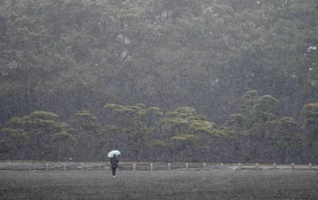 Japón enfrenta fuertes tormentas de nieve. Foto: EFE