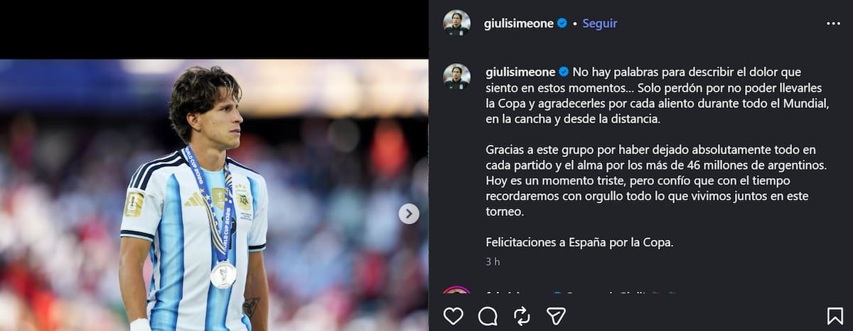 Mensaje en las redes sociales tras la final del Mundial.