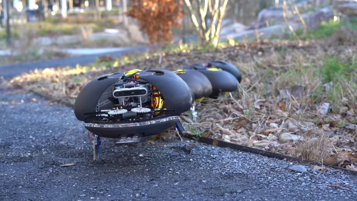 El "robot insecto" creado para eliminar maleza sin dañar las plantas cultivadas. Foto: Ground Control Robotics