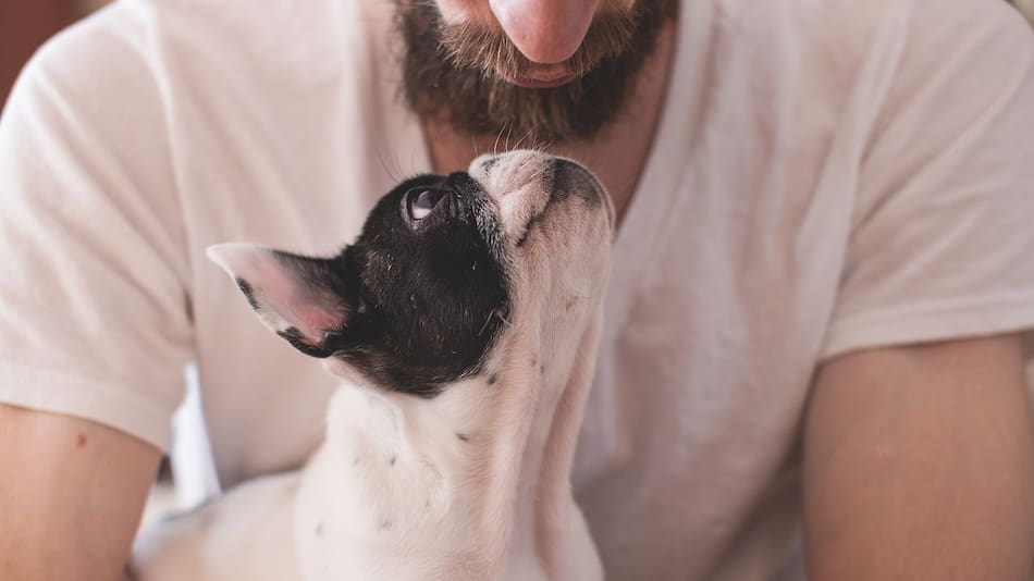 Un comportamiento canino muy común.