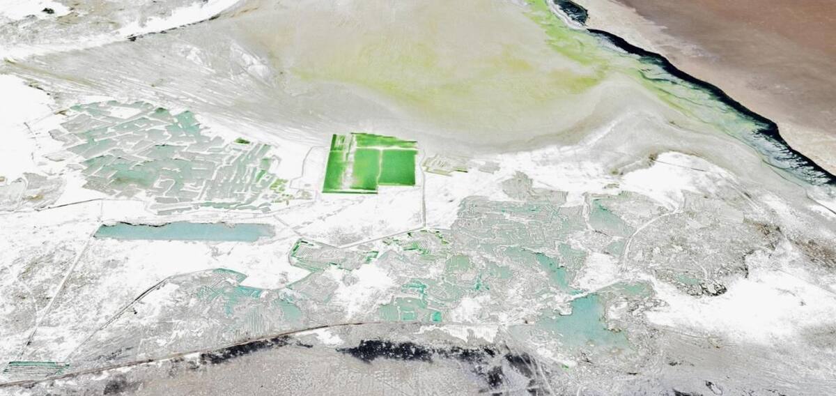 Salar de Surire, Chile. Foto: La Tercera