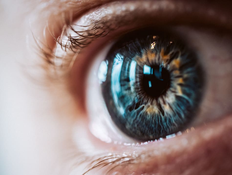 Retina, ojo. Foto Freepik