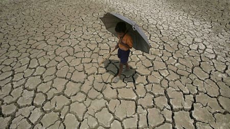 Advierten por las temperaturas récord de 2024. Fuente: EFE