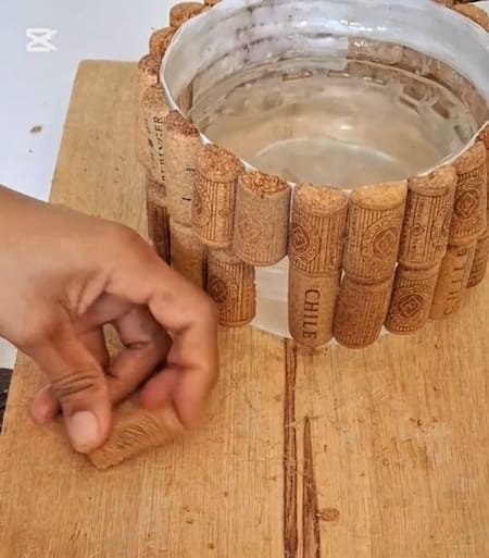 Maceta sustentable. Fuente: Tik Tok