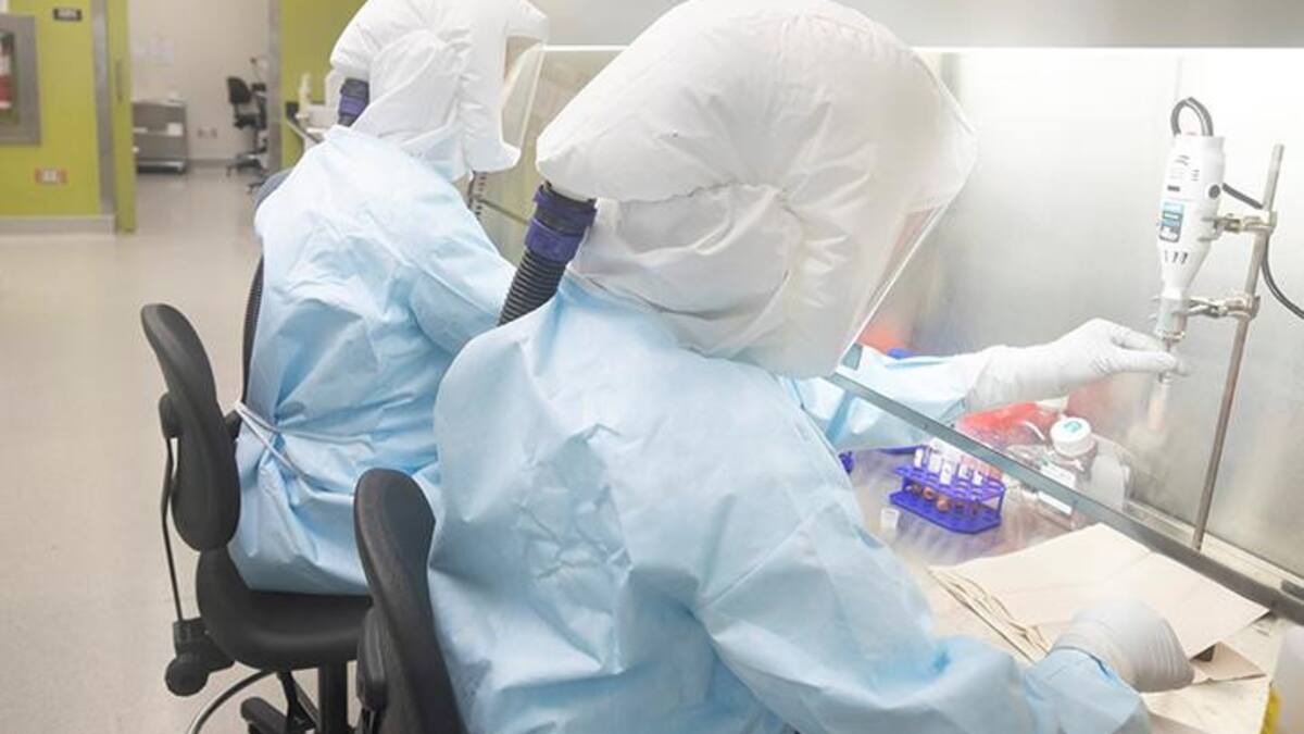 Coronavirus, epidemia, salud, Reuters
