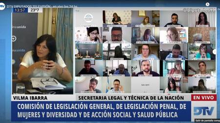 Debate sobre el aborto, sesión virtual en Diputados, NA