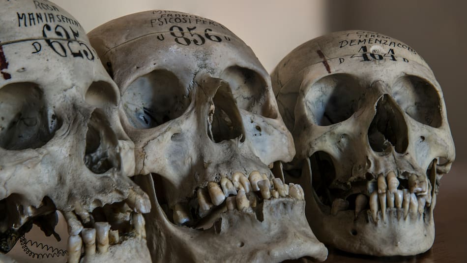 El hobbit hallado habitó una isla entre el océano Índico y Pacífico. Foto: Unsplash