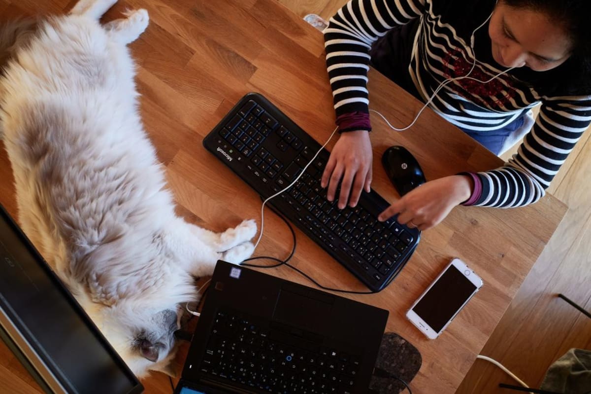 Homeoffice, REUTERS
