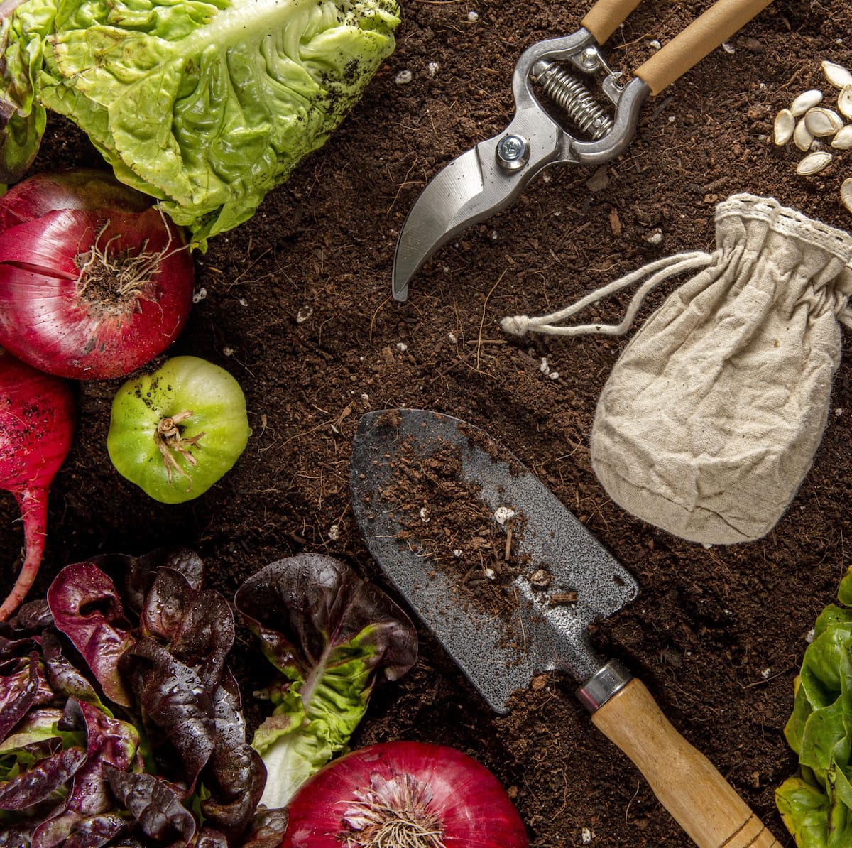 Huerta, verduras. Foto Freepik.