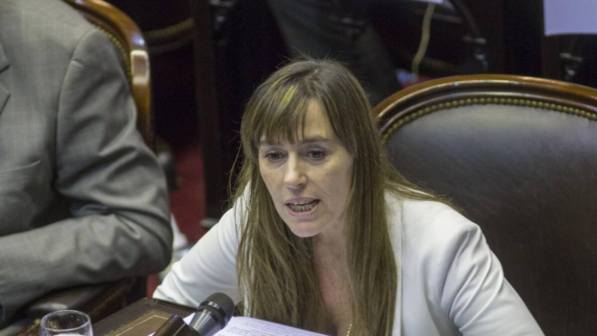 La senadora nacional del Frente de Todos, Juliana Di Tullio, foto NA