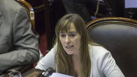 La senadora nacional del Frente de Todos, Juliana Di Tullio, foto NA